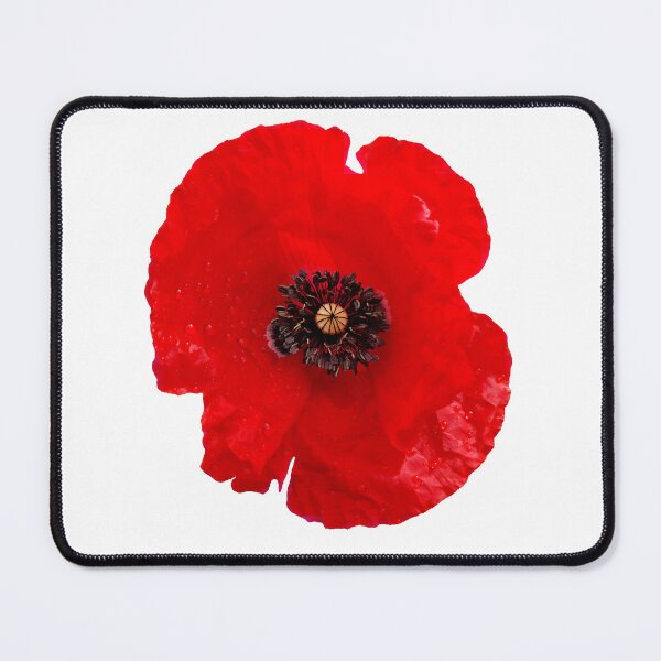 Item preview, Beautiful deep red poppy flower with dark stamens in the middle. designed and sold by janesg.