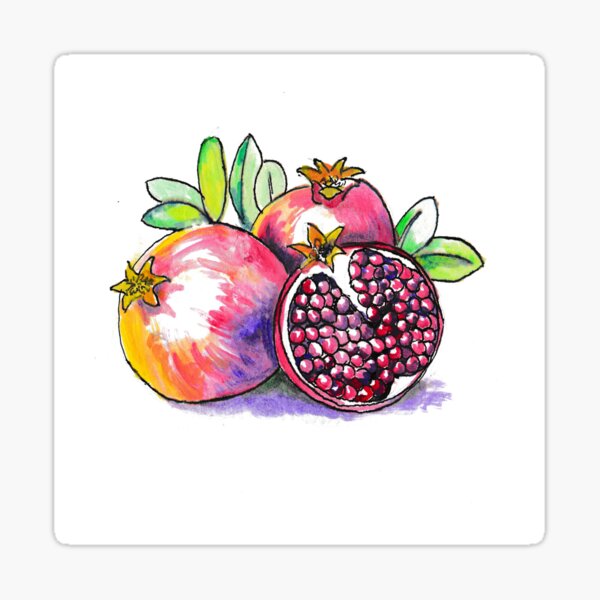 Pomegranate Sticker
