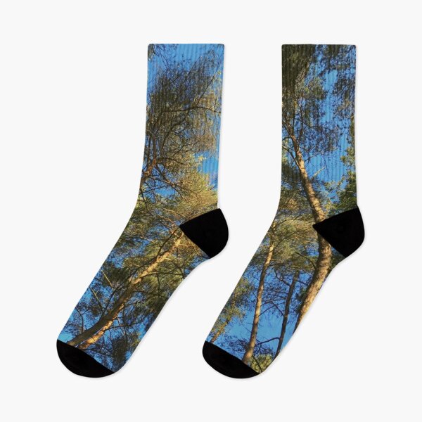 Item preview, Trees with Blue Sky At Center Parcs Photo Design designed and sold by TacoRose.