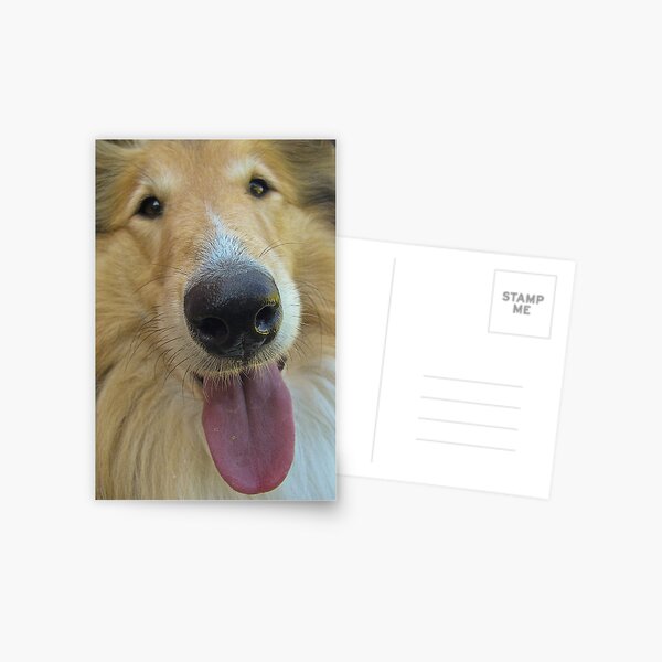 Luuuurv Postcard