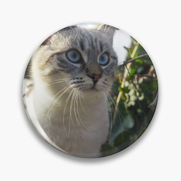 Artikelvorschau, Die neugierige Katze entworfen und verkauft von Silent-Seasons.