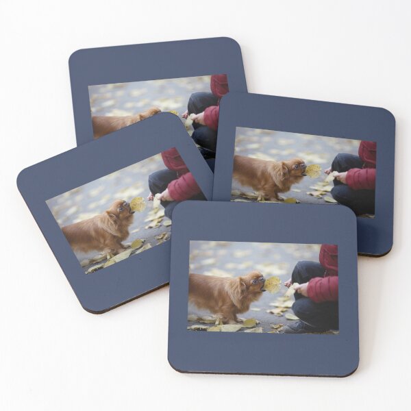 Item preview, Pekingese eating tree leaves designed and sold by FairyOfCherries.