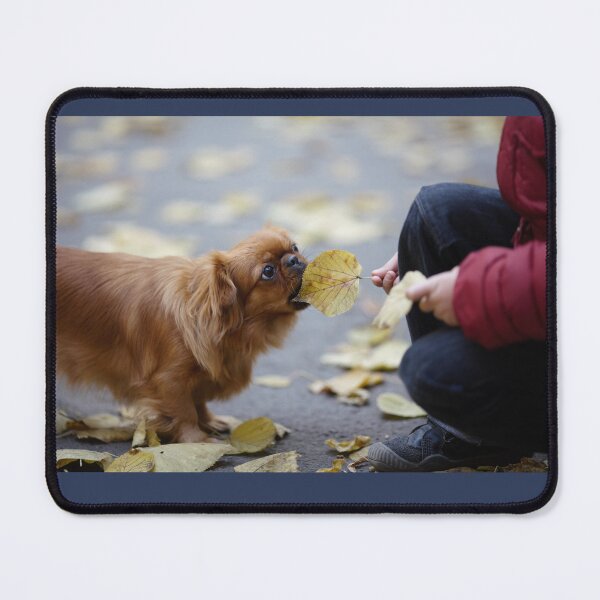 Item preview, Pekingese eating tree leaves designed and sold by FairyOfCherries.