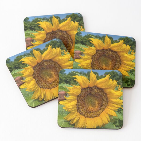 Item preview, Sunflower Time designed and sold by Craig Kauzmann.
