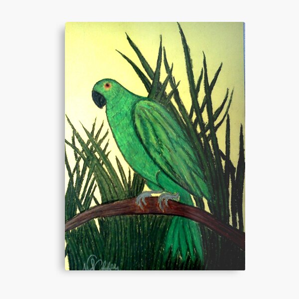 PARROT Metal Print