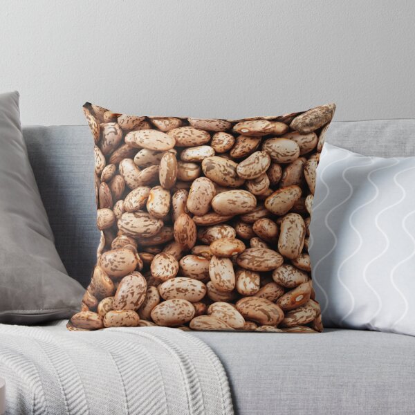 Pillow hot sale with beans