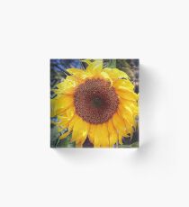 Sunny Flower Acrylic Block