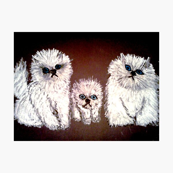 THREE LITTLE KITTENS Photographic Print