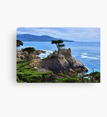 The Lone Cypress Canvas Print