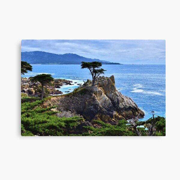 Item preview, The Lone Cypress designed and sold by Valerie Lemke.