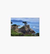 The Lone Cypress Art Board