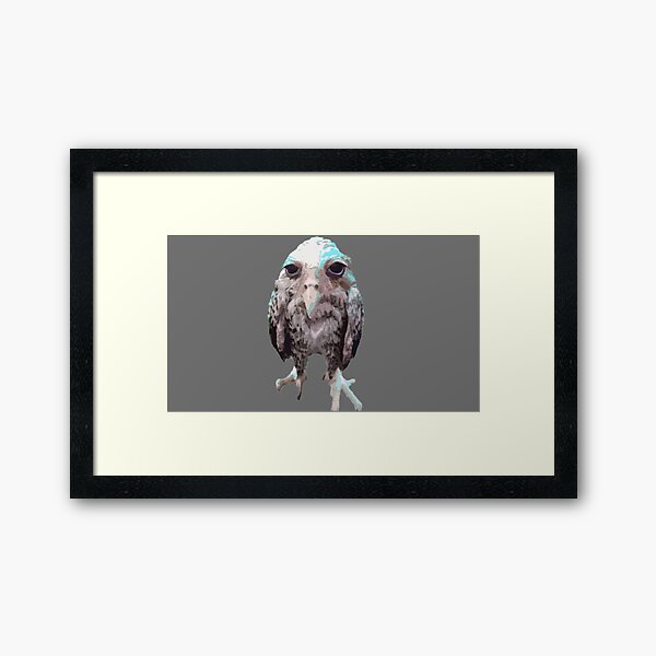 Item preview, wet owl designed and sold by Donya-Adel.