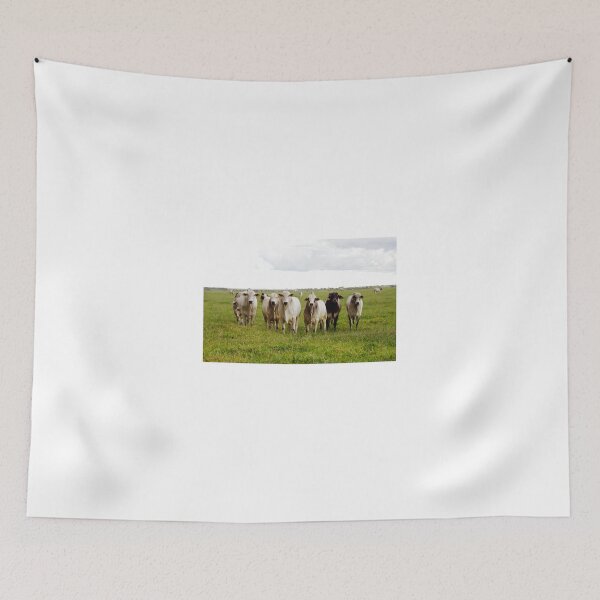 Item preview, Feedlot Bulls, Mato Grosso, Brazil. designed and sold by Felicity McLeod.