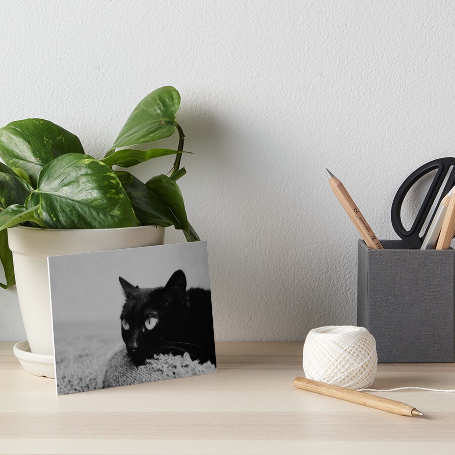 Item preview, Art Board Print designed and sold by Racoonzz.