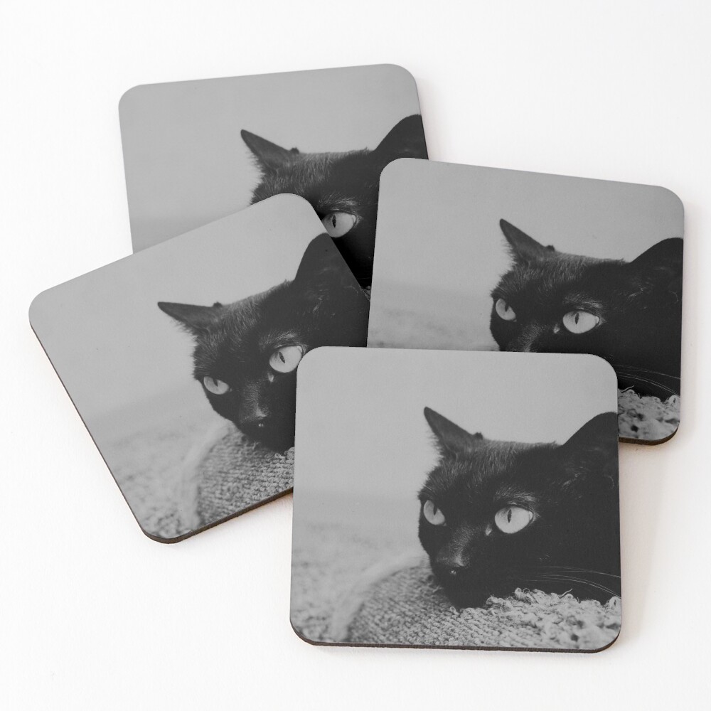 Item preview, Coasters (Set of 4) designed and sold by Racoonzz.