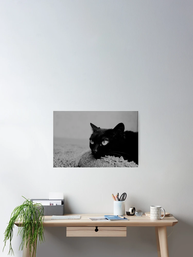 Thumbnail 2 of 3, Poster, Angry black cat designed and sold by Racoonzz.