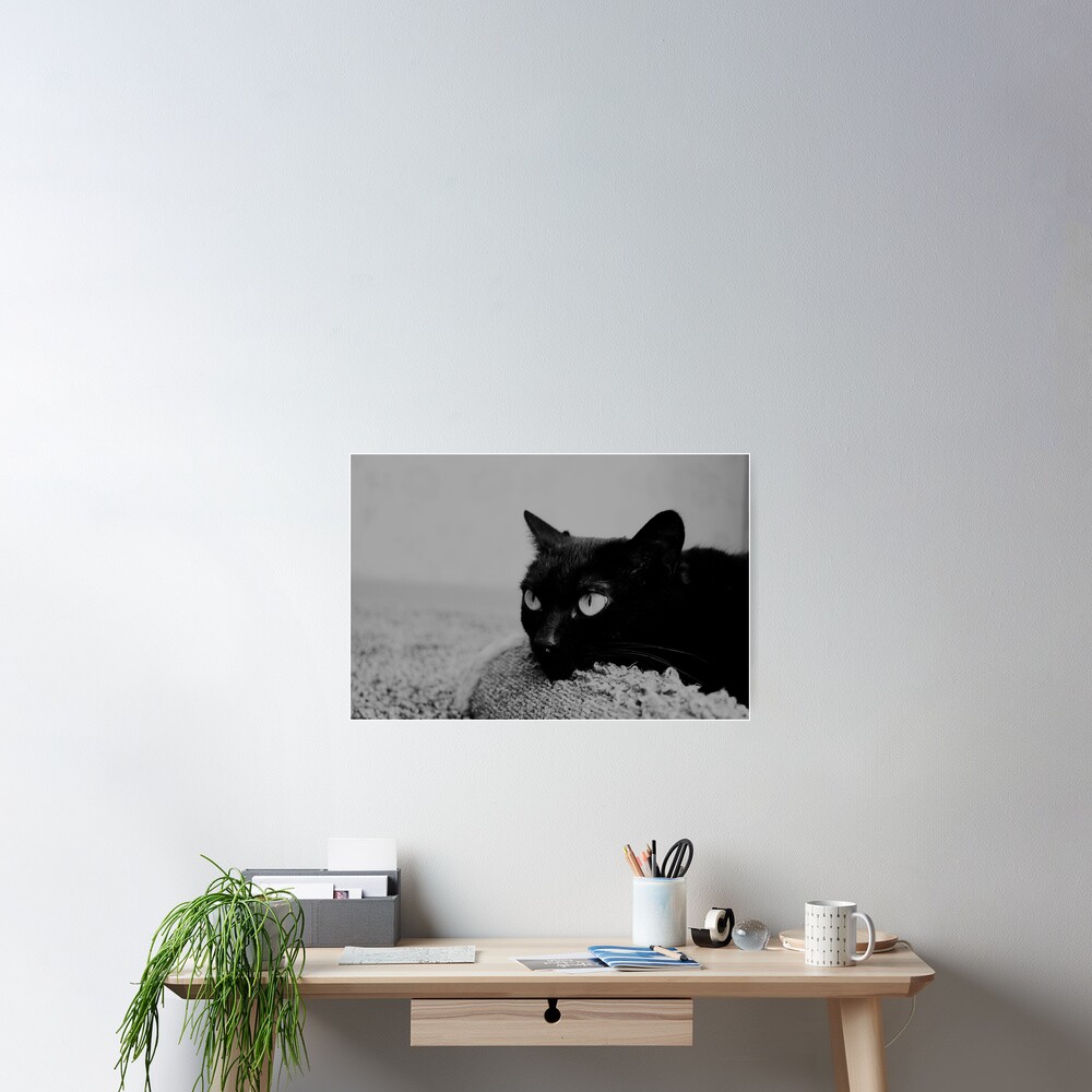 Item preview, Poster designed and sold by Racoonzz.