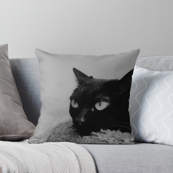 Item preview, gato negro enojado designed and sold by Racoonzz.