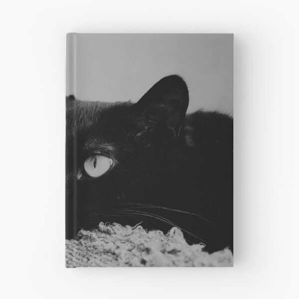 Aperçu de l'œuvre Chat noir en colère créée et vendue par Racoonzz.