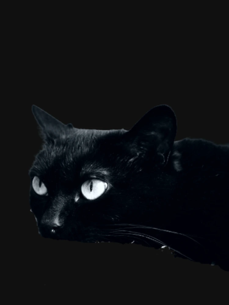 Thumbnail 6 of 6, Lightweight Sweatshirt, Angry black cat designed and sold by Racoonzz.
