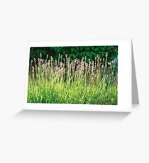 Lavender Greeting Card