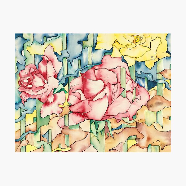 Rose Garden Photographic Print