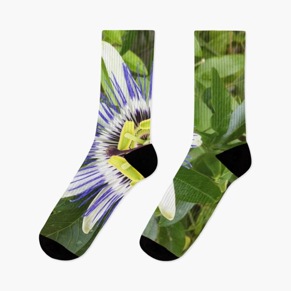 Item preview, Blue Passion Flower Nature Photo Design designed and sold by TacoRose.