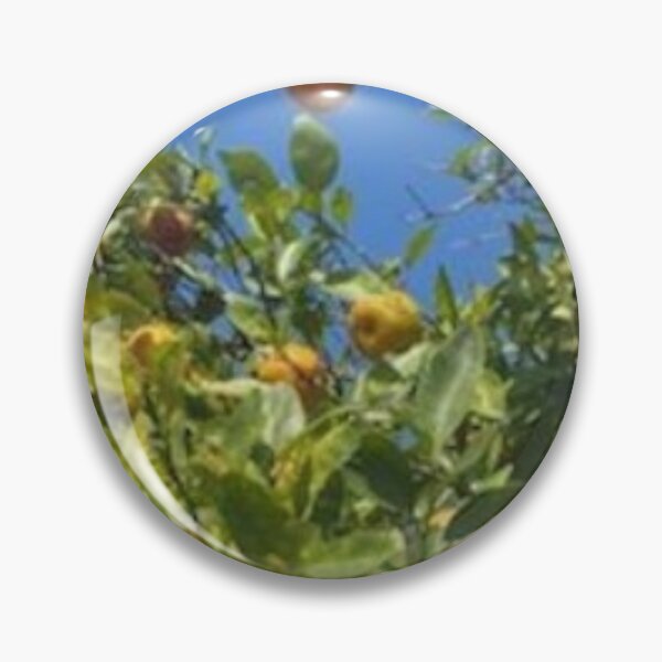 Item preview, Florida Oranges and Blue Skies designed and sold by gillys.
