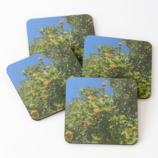 Item preview, Florida Oranges and Blue Skies designed and sold by gillys.