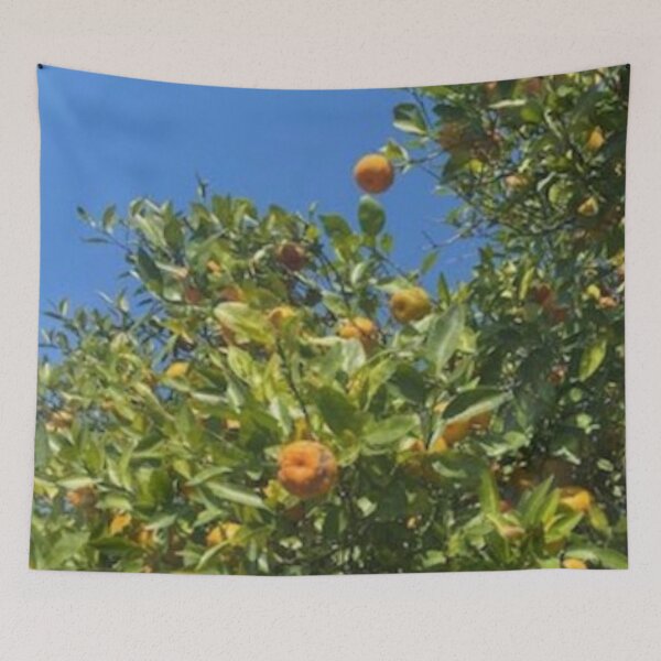 Item preview, Florida Oranges and Blue Skies designed and sold by gillys.