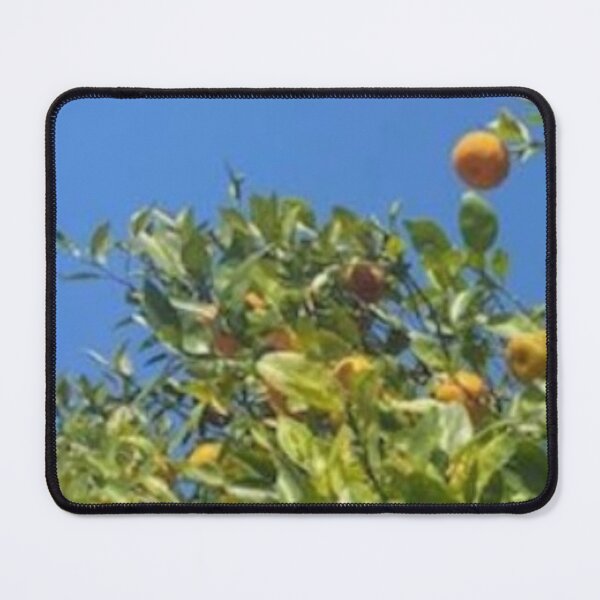 Item preview, Florida Oranges and Blue Skies designed and sold by gillys.