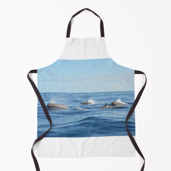 Item preview, North Atlantic Bottlenose Whales designed and sold by Malcolm Snook.