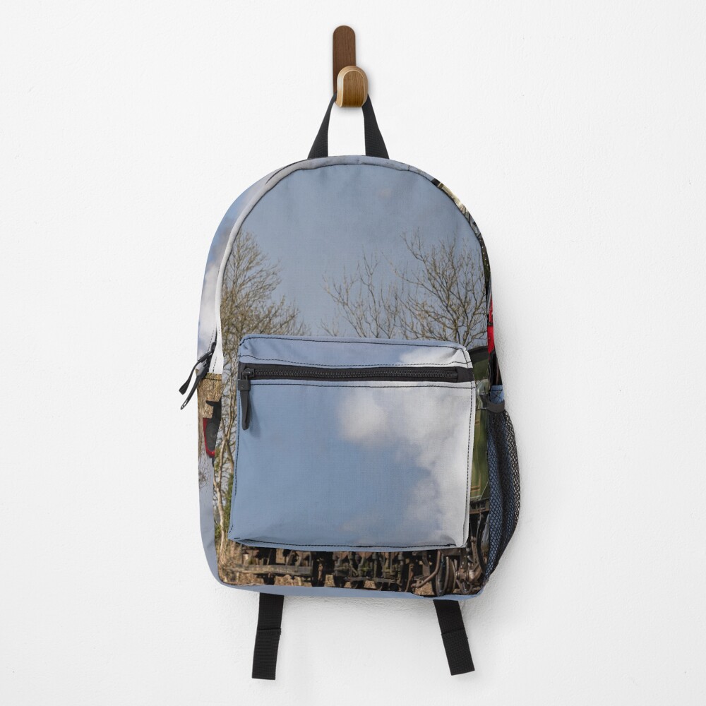 Item preview, Backpack designed and sold by Rjmcveigh.