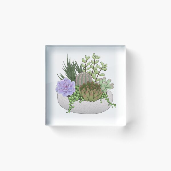 Item preview, Beautiful Succulent Garden designed and sold by kabocha-chan.
