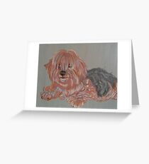 Shaggy Greeting Card