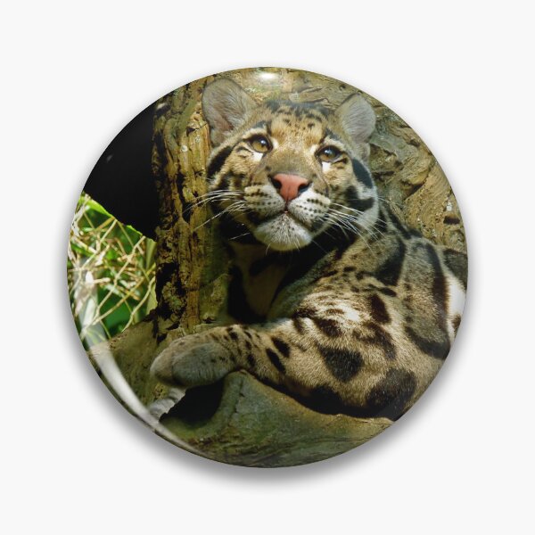 Item preview, Clouded Leopard  designed and sold by andrew82984.