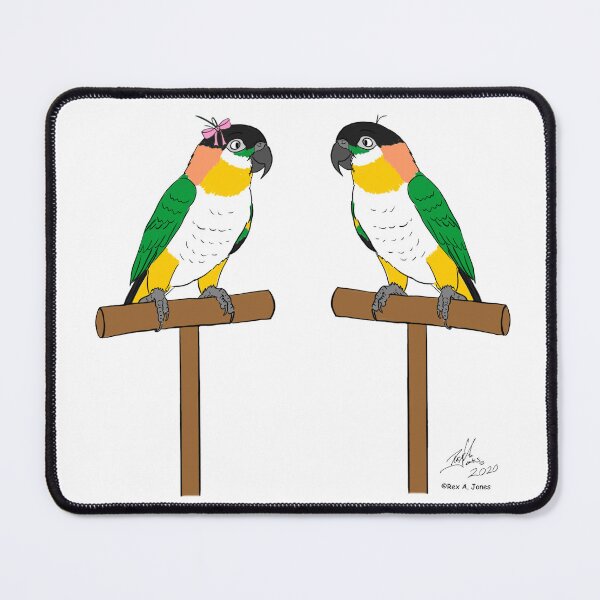 Item preview, Crazy Bird Person  with Black Headed Caiques designed and sold by Laughing Parrot Studio.