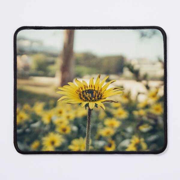 Item preview, Sunflowers designed and sold by Tony Vazquez.
