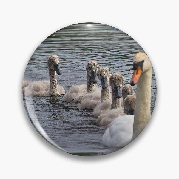 Item preview, 7 Cygnet Crescent designed and sold by Violaman.