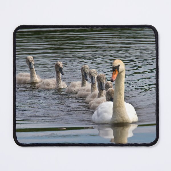 Item preview, 7 Cygnet Crescent designed and sold by Violaman.