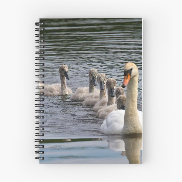 Item preview, 7 Cygnet Crescent designed and sold by Violaman.