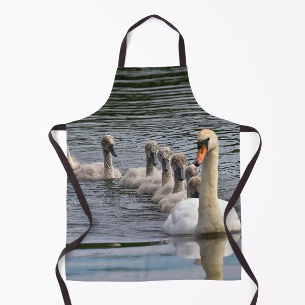 Item preview, 7 Cygnet Crescent designed and sold by Violaman.