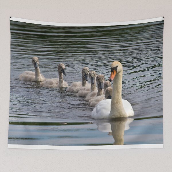 Item preview, 7 Cygnet Crescent designed and sold by Violaman.