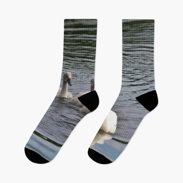 Item preview, 7 Cygnet Crescent designed and sold by Violaman.