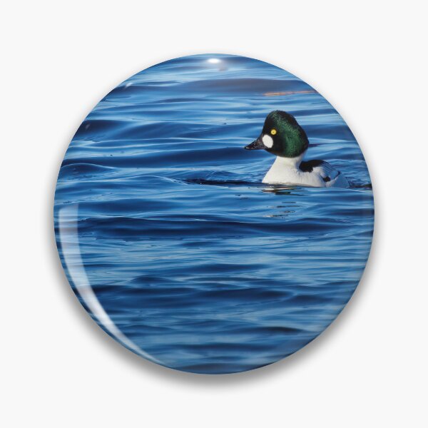Item preview, The deep green head. Common goldeneye designed and sold by Jouko Lehto Photography.