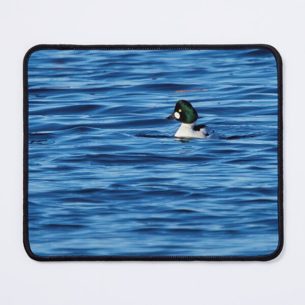 Item preview, The deep green head. Common goldeneye designed and sold by Jouko Lehto Photography.