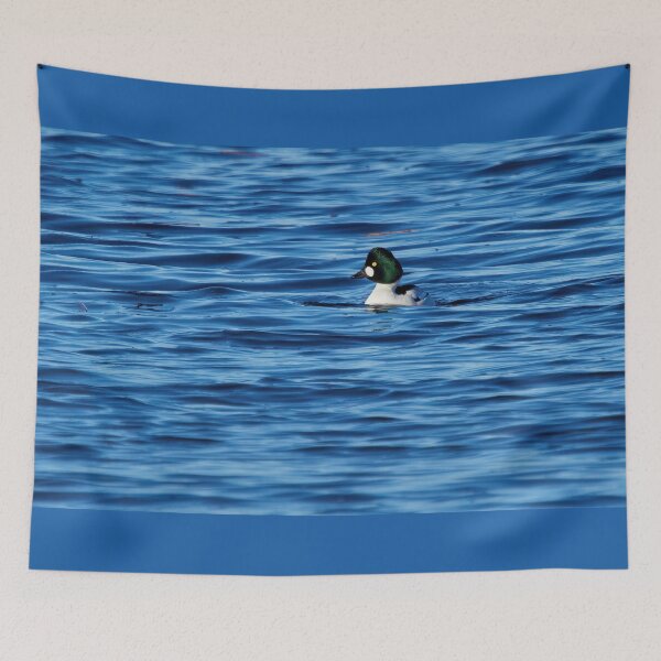 Item preview, The deep green head. Common goldeneye designed and sold by Jouko Lehto Photography.