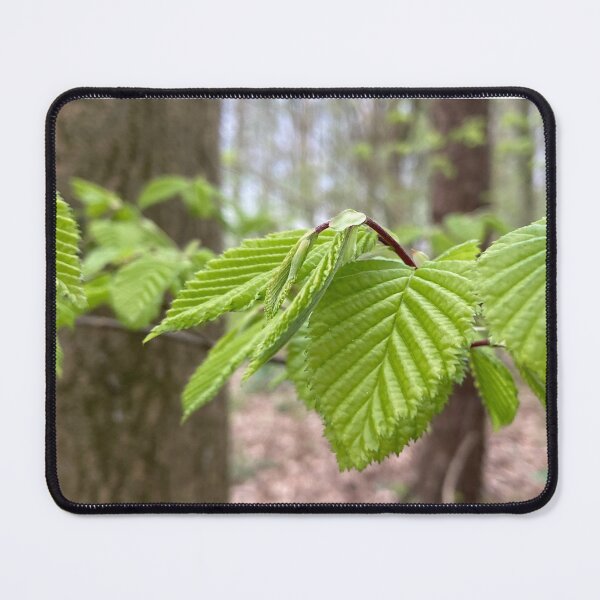 Item preview, New leaves designed and sold by Tizz07.