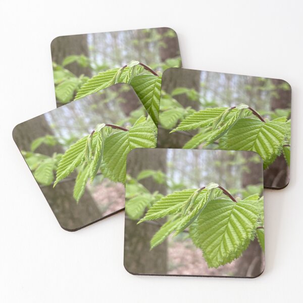 Item preview, New leaves designed and sold by Tizz07.