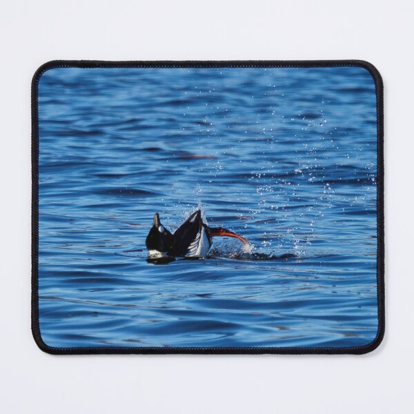 Item preview, Plays of the springtime. Common goldeneye designed and sold by Jouko Lehto Photography.